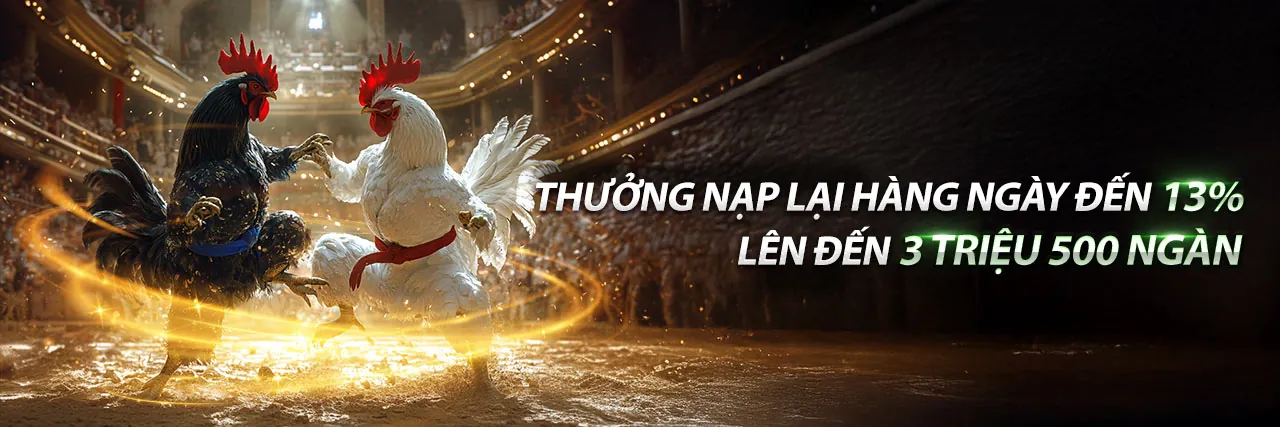 Đá gà trực tuyến sôi động tại b99 trang chủ chính thức